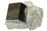 Natural Pyrite Cube In Rock From Spain - Pristine #82074-1